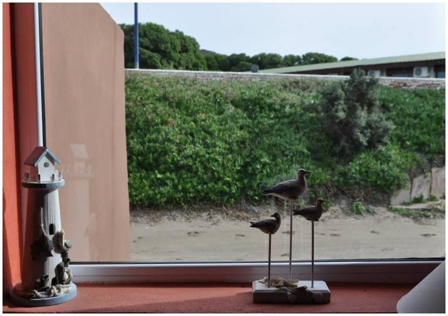 Hosteria Puerto Palos Puerto Piramides Ngoại thất bức ảnh